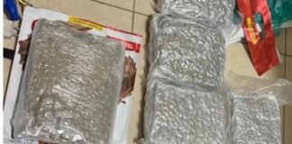 लखनऊ: अमौसी एयरपोर्ट पर ड्रग्स तस्करी का खुलासा, सहारनपुर का युवक 6.23 करोड़ की वीड के साथ गिरफ्तार