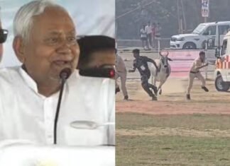 मुख्यमंत्री नीतीश कुमार ने 330 करोड़ रुपए की योजनाओं का शिलान्यास-उद्घाटन किया,CM की सुरक्षा में चूक,हेलीपैड में घुसा बैल