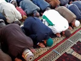 इलाहाबाद हाईकोर्ट ने संभल नमाज मामले में दिखाया कड़ा रुख, सुरक्षा व्यवस्था सख्त करने के दिए आदेश