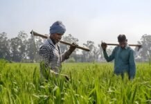 किसानों के हितों के साथ कोई समझौता नहीं…बेमौसम बारिश को लेकर CM योगी की बड़ी पहल, जिलाधिकारियों को फील्ड में उतरने का आदेश
