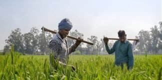 किसानों के हितों के साथ कोई समझौता नहीं…बेमौसम बारिश को लेकर CM योगी की बड़ी पहल, जिलाधिकारियों को फील्ड में उतरने का आदेश