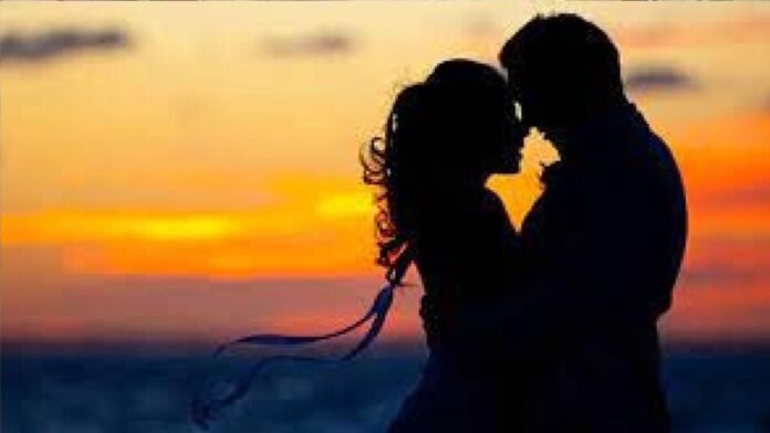 Untitled design (23)