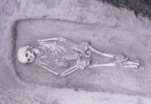 गोरखपुर: दो माह से लापता बुजुर्ग नासीर का कंकाल पोखरी में मिला, 40 वर्ष से एक ही परिवार में रह रहा था, पुलिस ने शुरू की जांच