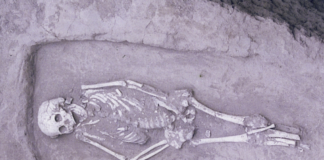 गोरखपुर: दो माह से लापता बुजुर्ग नासीर का कंकाल पोखरी में मिला, 40 वर्ष से एक ही परिवार में रह रहा था, पुलिस ने शुरू की जांच