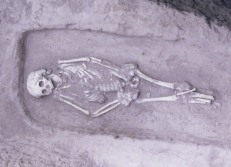 गोरखपुर: दो माह से लापता बुजुर्ग नासीर का कंकाल पोखरी में मिला, 40 वर्ष से एक ही परिवार में रह रहा था, पुलिस ने शुरू की जांच