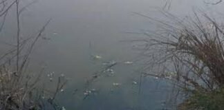 नोएडा में लापरवाही का शिकार हुआ छात्र: सेक्टर-94 के पानी भरे गड्ढे में डूबकर अमिटी यूनिवर्सिटी के 23 वर्षीय हर्षित भट्ट की मौत, 4 दोस्त नहाने उतरे थे; मां ने लगाया हत्या का आरोप