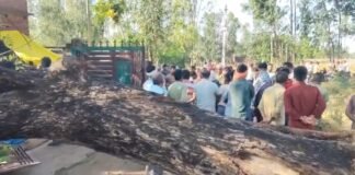 रायबरेली में कुदरत का कहर: मवेशियों को खोल रहे अधेड़ पर गिरा विशालकाय नीम का पेड़, मौके पर ही दर्दनाक मौत