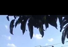 रामनगर विद्युत उपकेंद्र पर 24 घंटे का मेंटेनेंस, कई गांवों की बिजली रहेगी बाधित