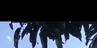 रामनगर विद्युत उपकेंद्र पर 24 घंटे का मेंटेनेंस, कई गांवों की बिजली रहेगी बाधित