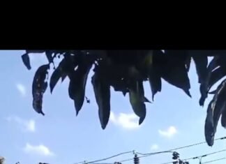 रामनगर विद्युत उपकेंद्र पर 24 घंटे का मेंटेनेंस, कई गांवों की बिजली रहेगी बाधित