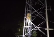 बहराइच में टावर पर चढ़ गई लड़की, समझाने पर उतरी नीचे, वीडियो हुआ वायरल