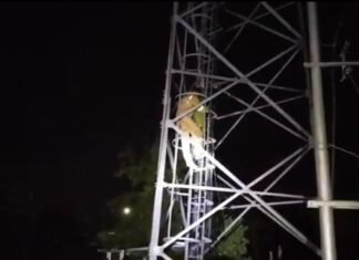 बहराइच में टावर पर चढ़ गई लड़की, समझाने पर उतरी नीचे, वीडियो हुआ वायरल