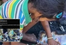 आग ने घर और किताबें जला दीं, लेकिन जज्बा नहीं… राख पर पढ़ती बच्ची की तस्वीर रुला देगी, अखिलेश यादव ने लिया पढ़ाई का जिम्मा