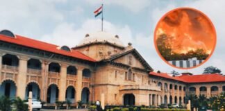 ‘डीएम और नगर निगम जवाब दें…’, लखनऊ अग्निकांड मामले में इलाहाबाद हाईकोर्ट सख्त