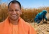 किसानों को राहत! योगी सरकार ने गेहूं खरीद नियमों में किया बड़ा बदलाव