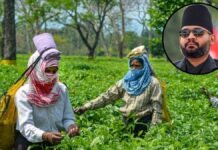 बालेन शाह को भारत का तगड़ा झटका! चाय कारोबार पर संकट, 1 मई से ये नया नियम होगा लागू