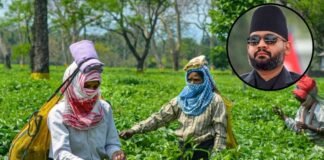 बालेन शाह को भारत का तगड़ा झटका! चाय कारोबार पर संकट, 1 मई से ये नया नियम होगा लागू