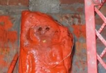 हनुमान जी की प्रतिमा पर कालिख और नागदेव की मूर्ति को खंडित किया, पुलिस ने की तत्काल कार्रवाई