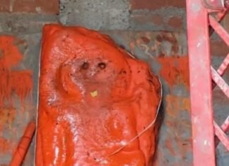 हनुमान जी की प्रतिमा पर कालिख और नागदेव की मूर्ति को खंडित किया, पुलिस ने की तत्काल कार्रवाई