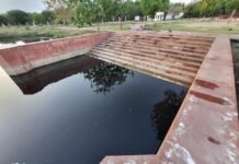 मथुरा के श्रीकृष्ण सरोवर में जहरीला केमिकल मिलने से हड़कंप, हजारों मछलियों की मौत; लोगों का फूटा गुस्सा