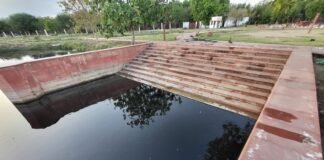 मथुरा के श्रीकृष्ण सरोवर में जहरीला केमिकल मिलने से हड़कंप, हजारों मछलियों की मौत; लोगों का फूटा गुस्सा