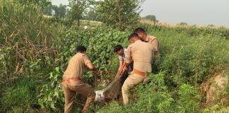 बलिया में अवैध शराब माफियाओं पर पुलिस का बड़ा एक्शन, 3000 लीटर लहन और 25 भट्टियां ध्वस्त