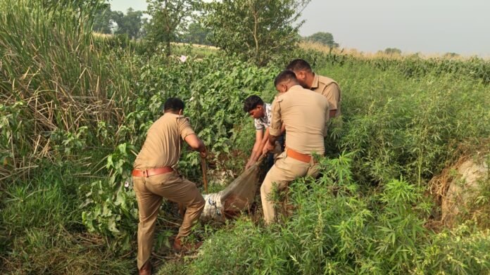 WhatsApp Image 2026-04-16 at 17.31.42