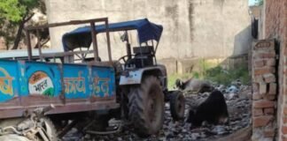 राया बस स्टैंड पर गंदगी और अव्यवस्थाओं का अंबार, यात्रियों को रोजाना झेलनी पड़ रही परेशानी; लोगों में बढ़ रहा आक्रोश