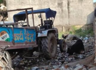 राया बस स्टैंड पर गंदगी और अव्यवस्थाओं का अंबार, यात्रियों को रोजाना झेलनी पड़ रही परेशानी; लोगों में बढ़ रहा आक्रोश