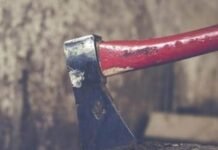 बहराइच में खौफनाक वारदात: देवर ने कुल्हाड़ी से काटकर भाभी की कर दी हत्या, पैसों के विवाद में दिया वारदात को अंजाम