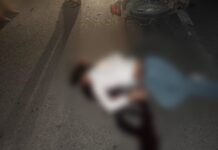 रायबरेली में आधी रात मौत का तांडव: बीच सड़क पर काल बनकर आया आवारा जानवर, दो युवकों की दर्दनाक मौत, दो गंभीर