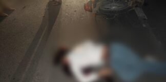 रायबरेली में आधी रात मौत का तांडव: बीच सड़क पर काल बनकर आया आवारा जानवर, दो युवकों की दर्दनाक मौत, दो गंभीर