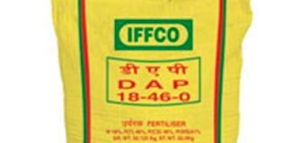 बरेली में अफसरों की सख्त निगरानी में होगी यूरिया-डीएपी की बिक्री, प्रशासन ने कसी कमर