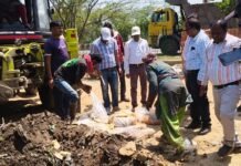 अक्षय तृतीया से पहले खाद्य विभाग का बड़ा एक्शन: वृंदावन में खपाने के लिए धौलपुर से मंगवाया मिलावटी पेड़ा… 1.10 लाख की मिठाई नष्ट