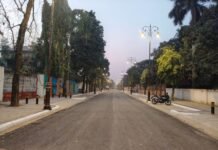 चीफ मिनिस्टर ग्रीन रोड इंफ्रास्ट्रक्चर डेवलपमेंट (सीएम ग्रिड) के तहत बनाई जा रहीं सुरक्षित और पर्यावरण अनुकूल सड़कें