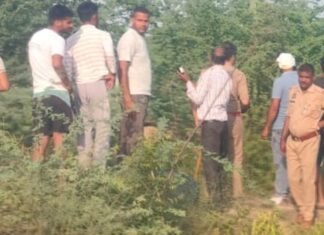 मथुरा में नीलगाय पर हमला : ग्रामीणों के पहुंचते ही बाइक छोड़ फरार हुए हमलावर, आरोपियों की तलाश में जुटी पुलिस