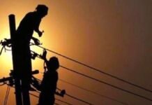 बरेली में बिजली कटौती से सूख रही फसलें, किसानों ने डीएम से लगाई गुहार