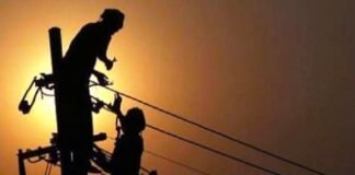 बरेली में बिजली कटौती से सूख रही फसलें, किसानों ने डीएम से लगाई गुहार