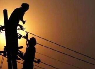 बरेली में बिजली कटौती से सूख रही फसलें, किसानों ने डीएम से लगाई गुहार