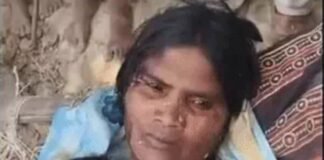 बहराइच में खेत में काम करने गए पति-पत्नी सहित एक अन्य युवक पर तेंदुए ने किया हमला, हमले के बाद पेड़ पर चढ़ गया तेंदुआ…