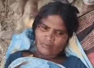 बहराइच में खेत में काम करने गए पति-पत्नी सहित एक अन्य युवक पर तेंदुए ने किया हमला, हमले के बाद पेड़ पर चढ़ गया तेंदुआ…