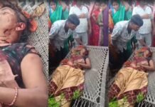बहराइच में बाघ का आतंक: घास काटने गई महिला की हमले में मौत, गांव में दहशत