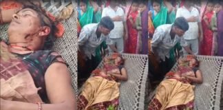 बहराइच में बाघ का आतंक: घास काटने गई महिला की हमले में मौत, गांव में दहशत