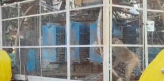 रायबरेली: 6 महीने से मौत बनकर खड़ा ट्रांसफार्मर, बछरांवा चौराहे पर हादसे का इंतजार करता बिजली विभाग