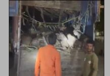 रायबरेली में आधी रात ‘महायुद्ध’! कसाईखाने ले जाए जा रहे 120 पशु किए गए रेस्क्यू , बजरंग दल के वीरों ने घेरा