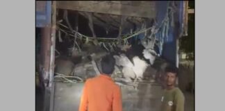 रायबरेली में आधी रात ‘महायुद्ध’! कसाईखाने ले जाए जा रहे 120 पशु किए गए रेस्क्यू , बजरंग दल के वीरों ने घेरा