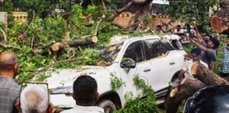 उत्तर प्रदेश में आंधी-तूफान का कहर, 96 लोगों की मौत, सीएम योगी ने किया मुआवजे का ऐलान