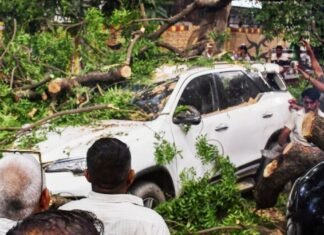 उत्तर प्रदेश में आंधी-तूफान का कहर, 96 लोगों की मौत, सीएम योगी ने किया मुआवजे का ऐलान