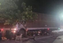 मथुरा में दर्दनाक हादसा, तेज रफ्तार कंटेनर ने चाय पी रहे लोगों को रौंदा, 2 की मौत, 2 गंभीर घायल