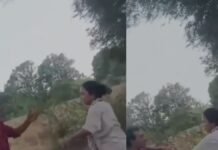 रायबरेली में ‘सिंघम’ बनी लड़की! बीच सड़क पर मनचले की चप्पलों से ‘सर्विस’